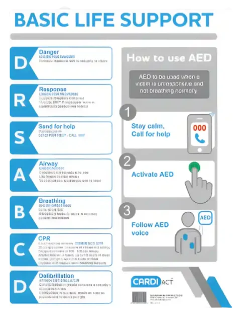 A life chart that explains the drsabcd life support plan