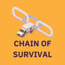 navigational button and isometric image of chain of survival
