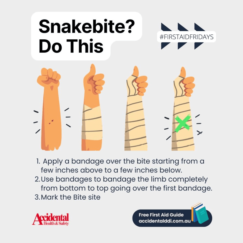 a step by step infographic of rolling a snakebite bandage to treat snake bite