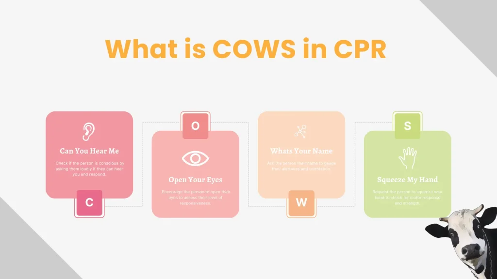"Infographic titled 'What is COWS in CPR' with four colorful steps: 'Can You Hear Me' in pink with an ear icon, 'Open Your Eyes' in red with an eye icon, 'What's Your Name' in orange with a network icon, and 'Squeeze My Hand' in green with a hand icon. A cow image is in the bottom right corner."

